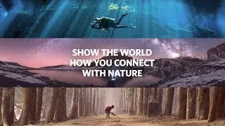 The 2018 Photo Contest