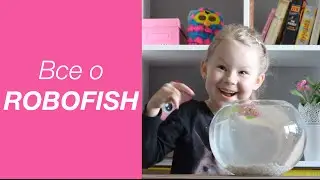 Все о рыбке Робофиш | About Robofish