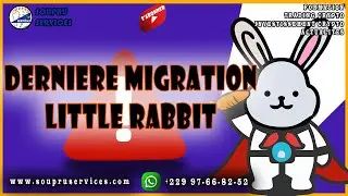 🚨URGENT : DERNIER JOUR POUR LA MIGRATION LITTLE RABBIT