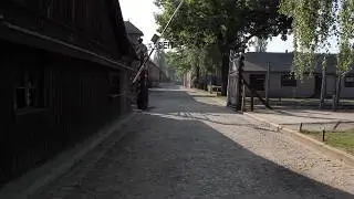 Auschwitz Survivors Testify: Never Forget