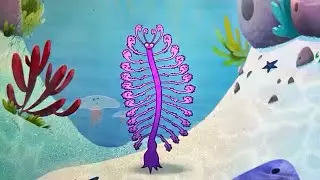I&rsquo;m a sea pen fish