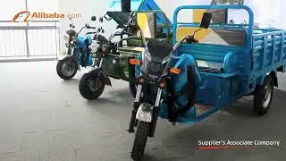 2022 3pluscoco/citycoco/electric scooter/electric cargo tricycle/EEC/COC/Factory Certification Video