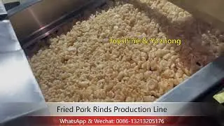 Fried Pork Rinds Production Line / Frying Line / Continuous Deep Fryer Machine / Frying Machine