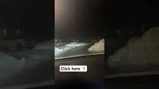 Newfoundland in a Parallel Universe 😳 7&deg;C and No Snow | Is This Really Newfoundland? 7&deg;C & No Snow