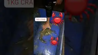 #crab #fish | 1KG CRAB|#shorts #trending