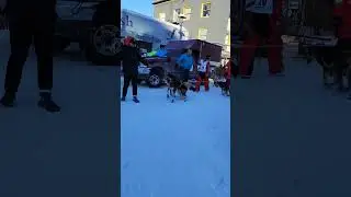 jason mackey's team iditarod 2023 ceremonial start🐕&zwj;🦺🌨️🇨🇦🇺🇸