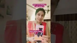 Their current feelings & next action ??💘 Timeless collective Love Tarot reading ❤️