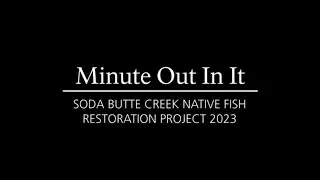 Yellowstone NP: Soda Butte Creek native fish restoration project