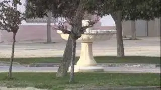 Villarrin de Campos