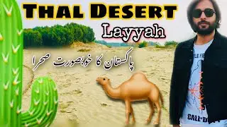 Thal Desert | Chobara | Layyah | Beautiful Desert of Pakistan | Thal Jeep Rally | Musafir Vlogs