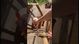 Scapa de carii de lemn cu Bochemit  Plus I Eradicare. Elimina toate insectele din lemnul atacat.