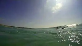 In the sunny surf at Constantine bay