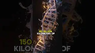 Your DNA Is 2 Meters Long?🤯 #Shorts #facts #DNAFacts #NeuroFlash #ScienceShorts #MindBlown #Genetics