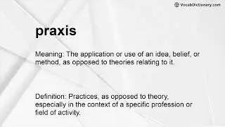 praxis Meaning