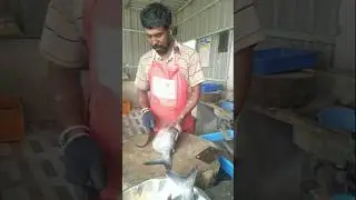 மீன் அழகா வெட்டுறாங்க #tamilvideo #fish cleaning#fresh fish.....