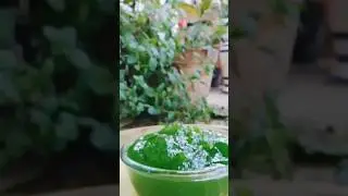 Mango jam #mangojam #mangopickle #greenmango #viralvideo #vegetariandiet