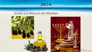 Levítico 24