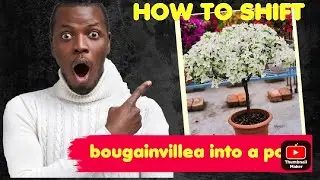 best gardening tips, easy gardening for beginners,, how to start a garden, flower gardening ideas, 