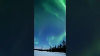 Welcome to the life of Aurora Hunting💚🤗 Wanna join?🔥