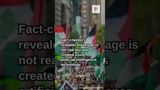 AI-Generated Image Falsely Depicts Pro-Palestine