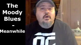 THE MOODY BLUES | Meanwhile | First time hearing this one (Reaction)
