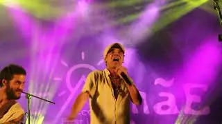 Terra Livre - Dança da Semente FT. Manu Chao LIVE @ Festival Terra Mãe 2019