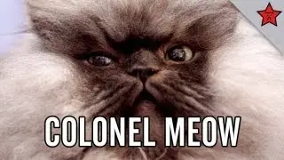 Colonel Meow's Diaries: A Rise to Power