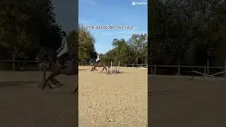 Juste:g un poney plus petit mais plus difficile