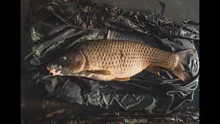 Gyekenyes březnová výprava