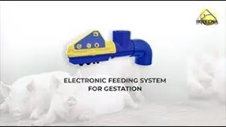 Electronic Feeding System for Gestation - Dositronic G