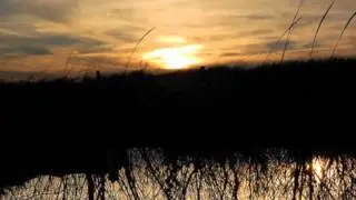 Dear Child (I've Been Dying To Reach You) - Anthony Green HD