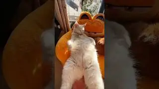 Relax Anywhere, Anytime