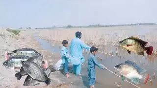 Best Fishing Video 2023 | Traditional Boy Catch Fish By hook From Village Canal@ABDULSAMIfishing