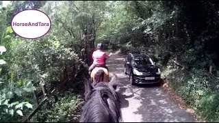 First ride on a Friesian horse after my fall from an Arabian horse