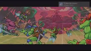 Teenage Mutant Ninja Turtles: Shredder's Revenge_20260107144848