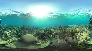 360VR Underwater Florida Demo #1 6K