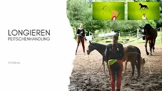 Longieren - Peitschenhandling (Pferdeausbildung Tutorial)