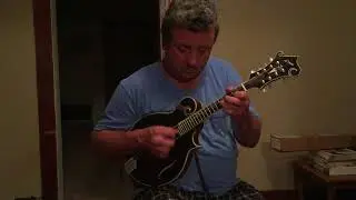 Aleyas mandolin #17 played by Johnny Staats