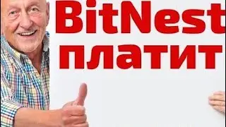 Bitnest Выплаты Приходят Если Вы Знаете Это