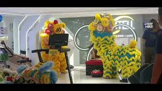 Imago shoping mall Lion dance performance 新店开张2025年12月8日