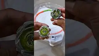 Hover Wyvern VS Gale Wyvern! Beyblade X Hasbro Exclusive UX Release Battle Showndown!