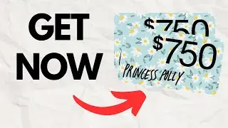 Best Princess Polly Discount 2026 | How to Become Princess Polly Product Reviewer?