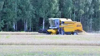 Saunasuon tarkastelua ja Juutilanpellon puinti Elo Syyskuussa 2022