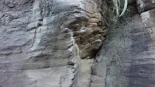 Escalada en Tenerife🌴 El martillo volador (6B+) 🧗&zwj;♀️🧗