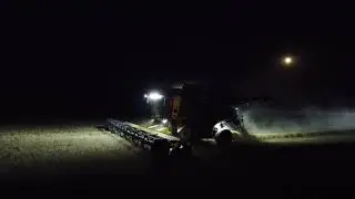 Ernte 2025 New Hollandt, CaseIH, Steyr