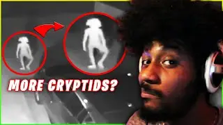 TOP 5 CRYPTID VIDEOS (Episode 3) | BigDill [reaction]