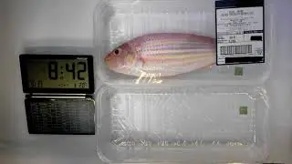 Color change of smart food label in fish Sample
