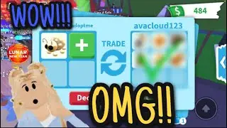 TRADING GOLDEN LADYBUG ( AMAZING OFFERS ) !!!