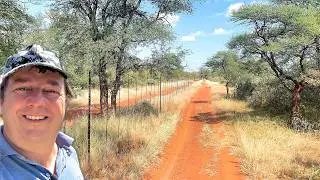 Dit is die wildplaas waarvan jy droom buite Ellisras (videomateriaal uit 2021)