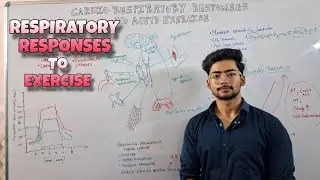 Respiratory Responses to Exercise | Exercise Physiology